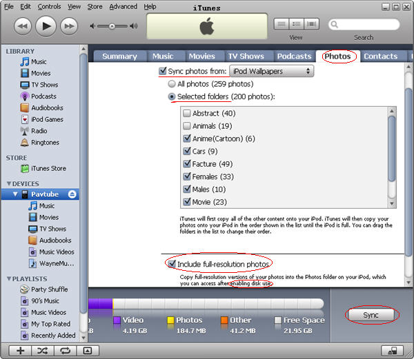 instal the new version for ipod Disk Sorter Ultimate 15.5.14